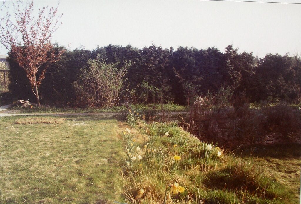 Top Lawn 1984
