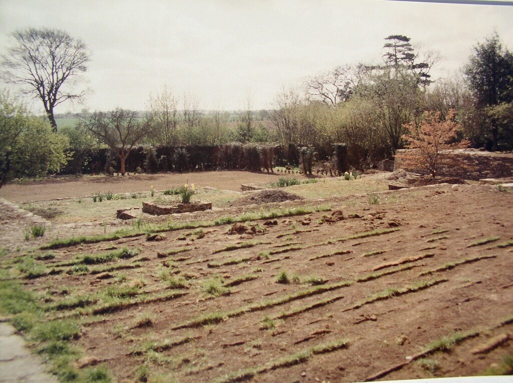 Overlooking the Rose Garden 1984