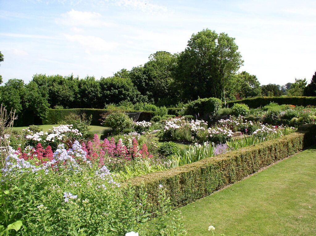 Overlooking the Rose Garden 2019